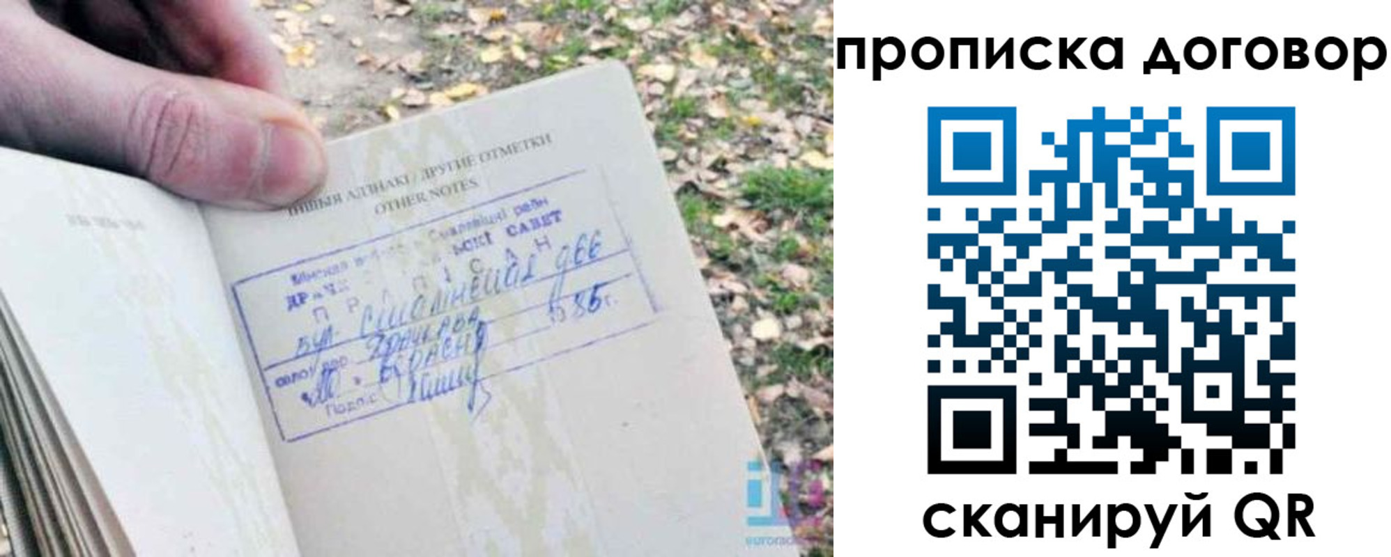 временная регистрация собственник в Коле